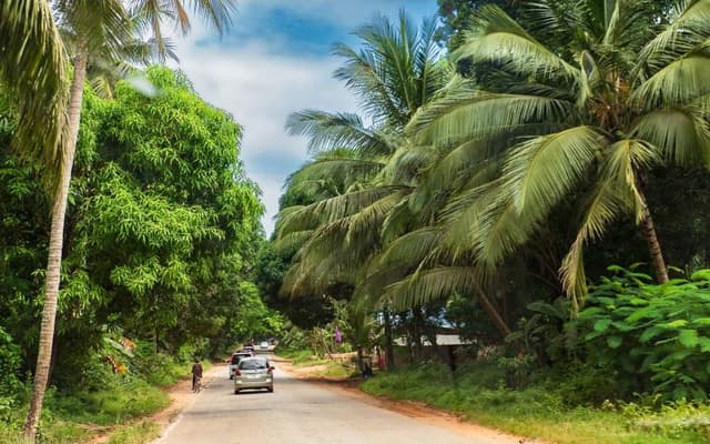 This can be an image taken from Zanzibar