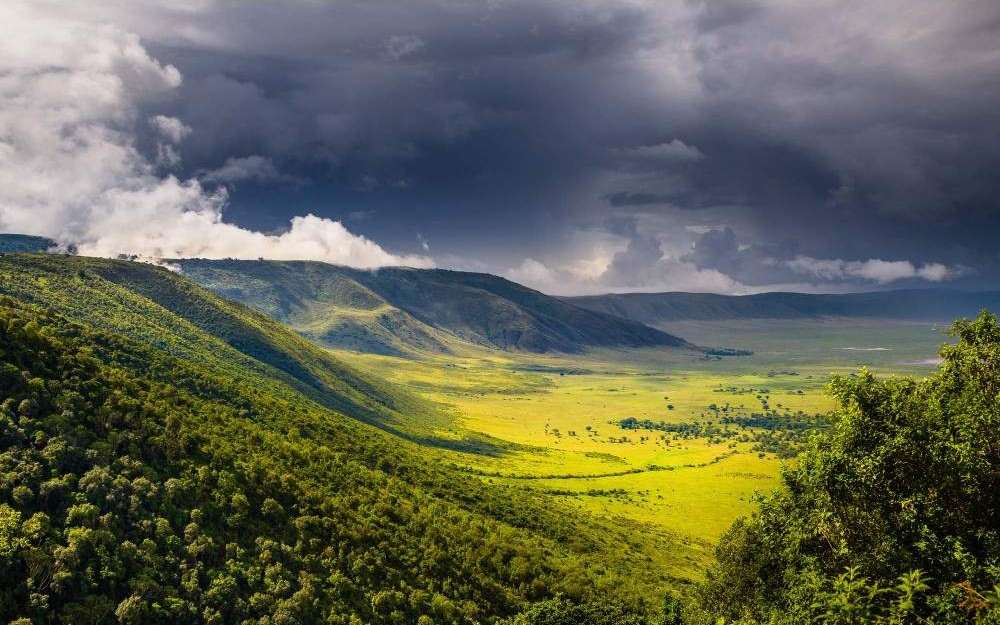 Ngorongoro- background Image